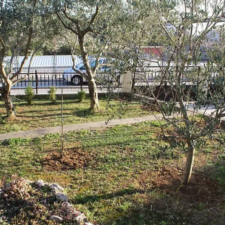 דירה Zadarstay *